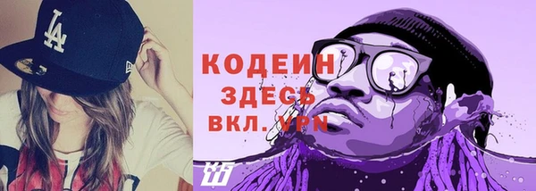 ГАЛЛЮЦИНОГЕННЫЕ ГРИБЫ Грязовец