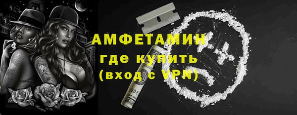 молекула духа Краснослободск