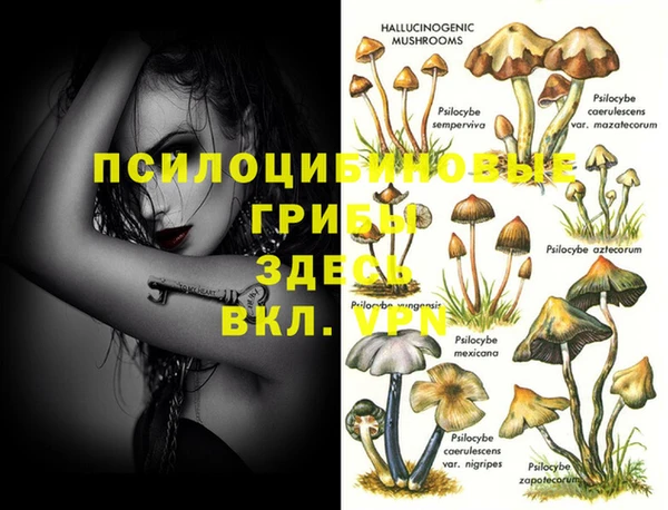 крисы Краснотурьинск