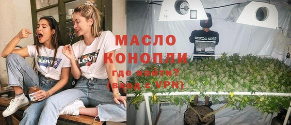 молекула духа Краснослободск