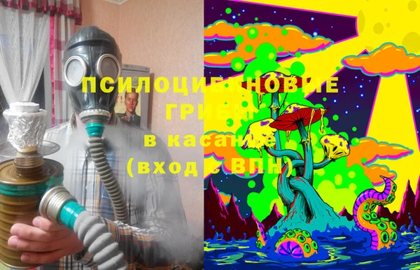 молекула духа Краснослободск
