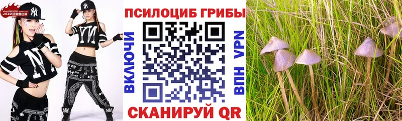 Псилоцибиновые грибы мицелий  Пионерский 