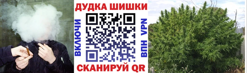Марихуана план  где купить   OMG онион  Пионерский 